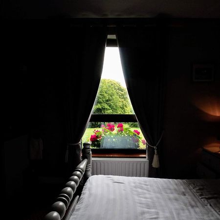 Abbey View Bed & Breakfast Γκάλγουεϊ Εξωτερικό φωτογραφία