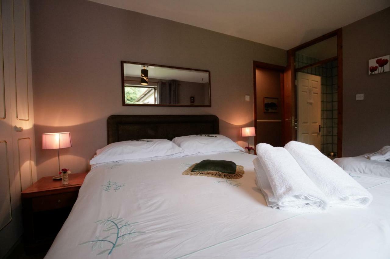 Abbey View Bed & Breakfast Γκάλγουεϊ Εξωτερικό φωτογραφία