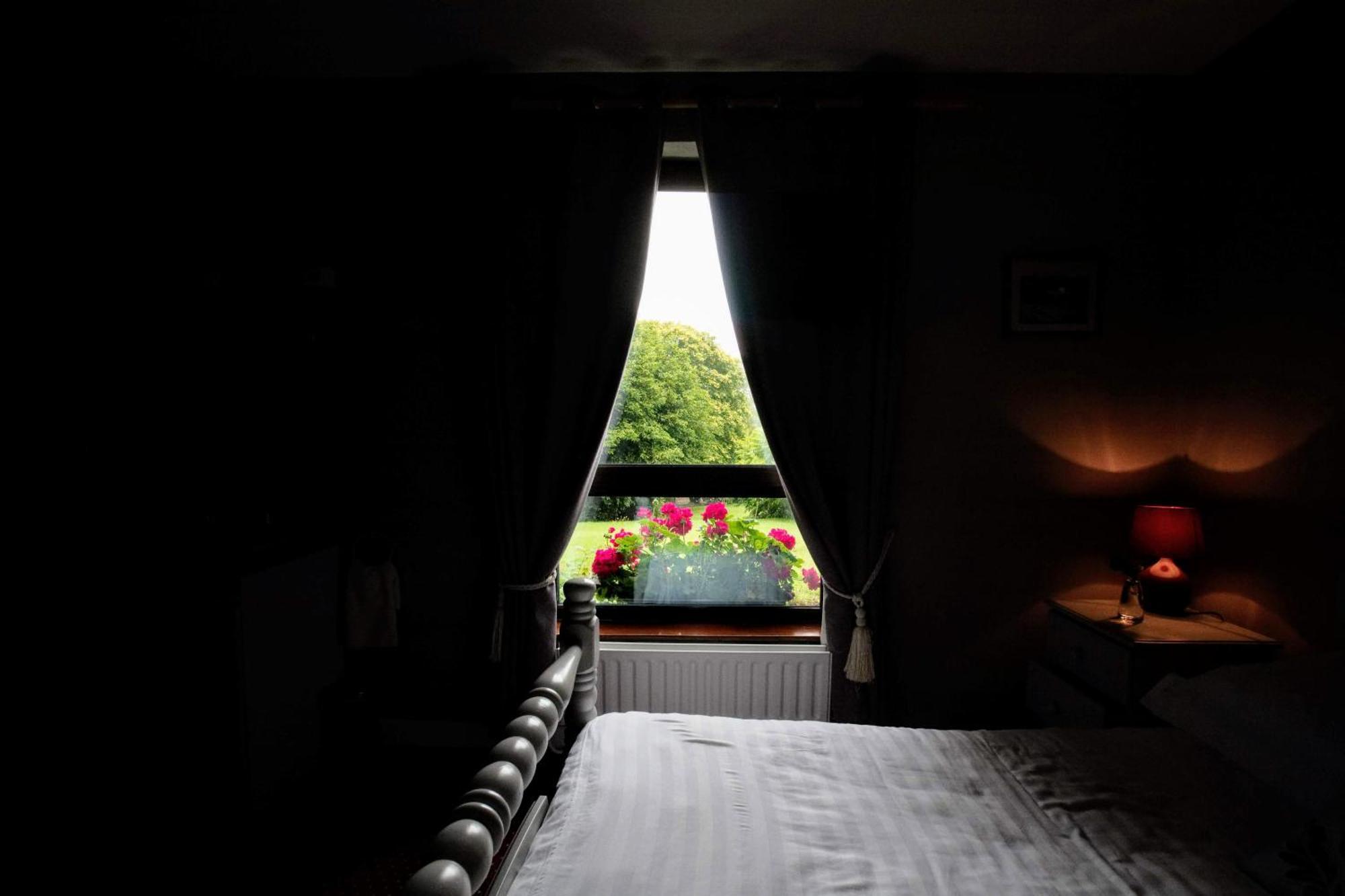 Abbey View Bed & Breakfast Γκάλγουεϊ Εξωτερικό φωτογραφία