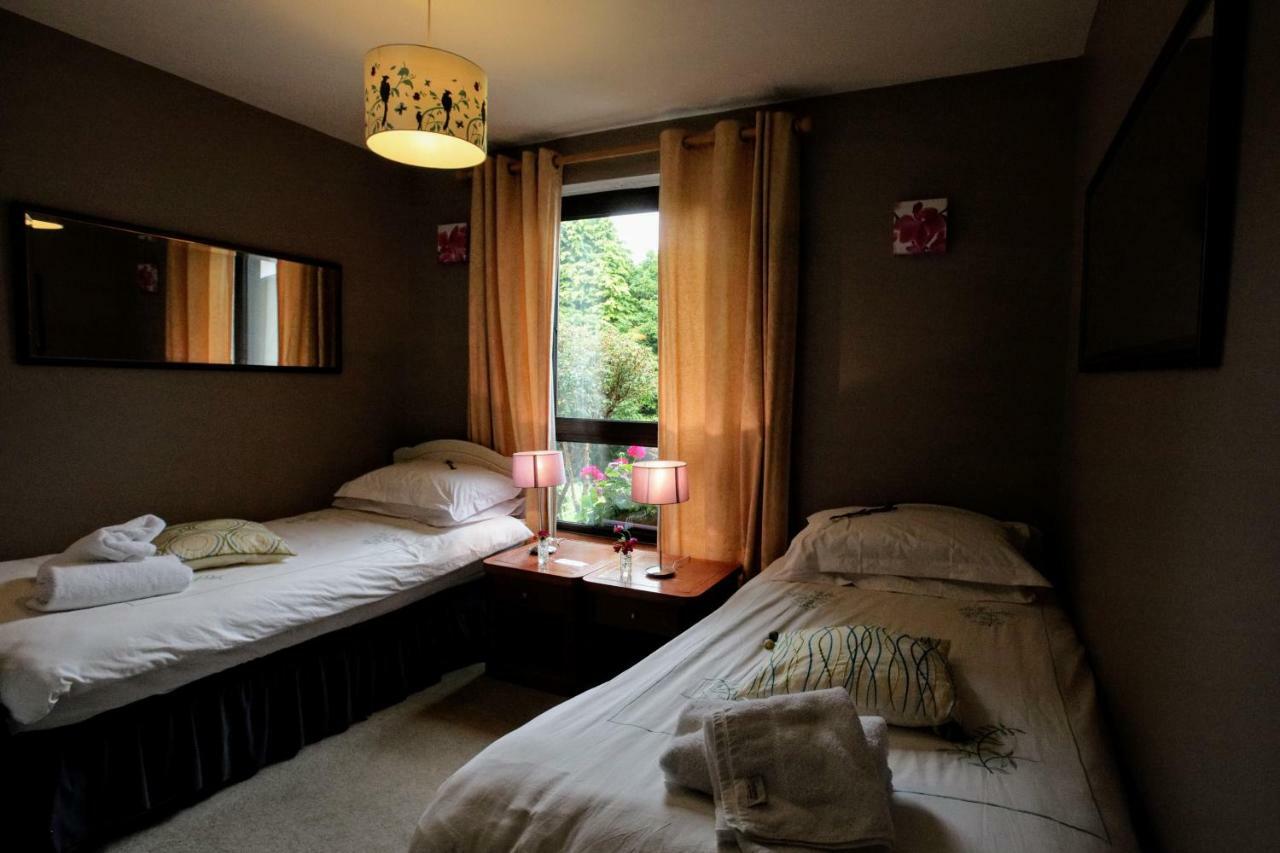Abbey View Bed & Breakfast Γκάλγουεϊ Εξωτερικό φωτογραφία